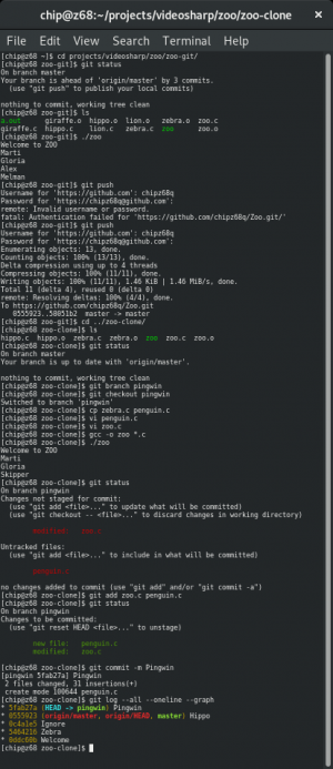 Отчёт от 13417 за Система Git / pingwin