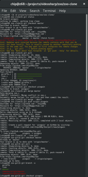 Отчёт от 13417 за Система Git / remote merge