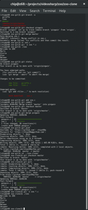 Отчёт от 13417 за Система Git / remote merge