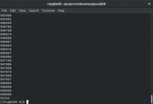 13417. Chip