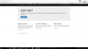 Отчёт от 1461 за Инфобизнес / Подготовка Visual Studio ASP.NET