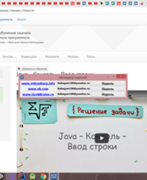Отчёт от 14886 за Демо софт / Менеджер паролей