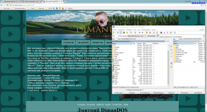 Отчёт от 14981 за Шахматы по сети / Хостинг. Доступ по FTP