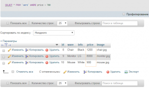 Отчёт от 1537 за Интернет-магазин / SELECT запросы 