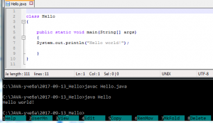 Отчёт от 16017 за J1. Запуск / START - Платформа Java