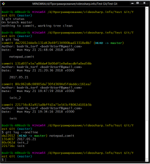Отчёт от 16066 за Система Git / Commit