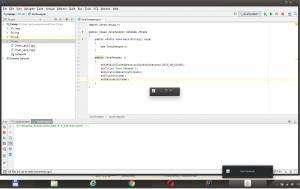 Отчёт от 16066 за Java Sweeper / Закрытие на выходе