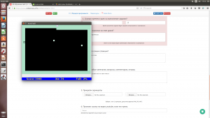 Отчёт от 16087 за Game Xonix / Свои правила