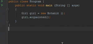 Отчёт от 16089 за Template method / Template Method - Girl - Program