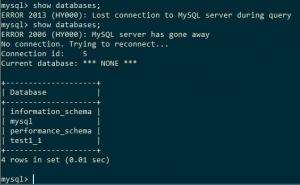 Отчёт от 16259 за SQL: ничего лишнего / Запуск mysql-консоли и создание базы данных