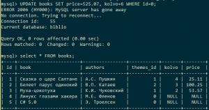 Отчёт от 16259 за SQL: ничего лишнего / Модификация таблицы