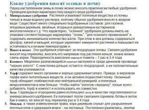 Отчёт от 16568 за Базовый ASP.ект / Создание схемы проекта