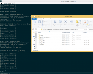 Отчёт от 17255 за SQL: ничего лишнего / Запуск mysql-консоли и создание базы данных