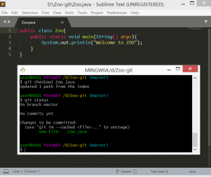 Отчёт от 17255 за Система Git / git add checkout