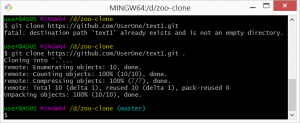 Отчёт от 17255 за Система Git / git push clone