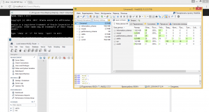 Отчёт от 17255 за Базовый ASP.ект / Установка сервера MySQL