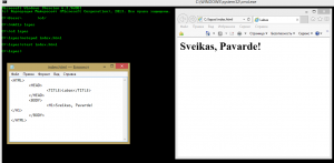 Отчёт от 17255 за Tinklavimas / Простейшая HTML страница