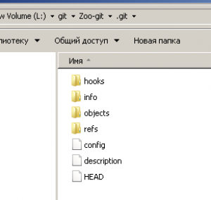 Отчёт от 17425 за Система Git / git init