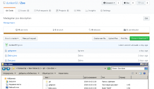 Отчёт от 17425 за Система Git / git push clone