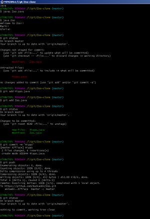 Отчёт от 17425 за Система Git / hippo git fetch pull
