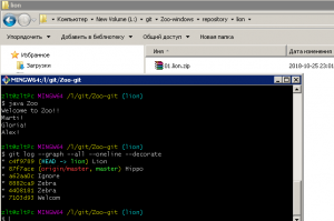 Отчёт от 17425 за Система Git / git branch lion