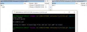 Отчёт от 17535 за Система Git / git init