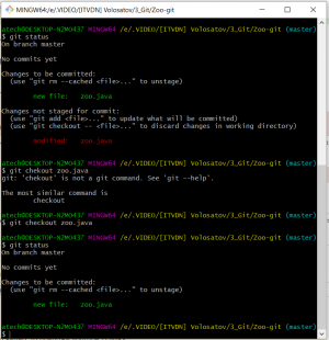 Отчёт от 17535 за Система Git / git add checkout