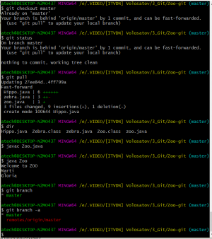 Отчёт от 17535 за Система Git / hippo git fetch pull