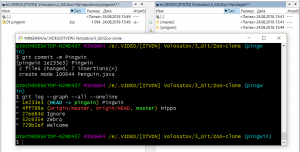 Отчёт от 17535 за Система Git / pingwin