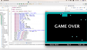 Отчёт от 17947 за Game Xonix / Свои правила
