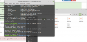 Отчёт от 18533 за Система Git / git branch giraffe