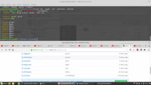 Отчёт от 18533 за Система Git / git merge giraffe lion