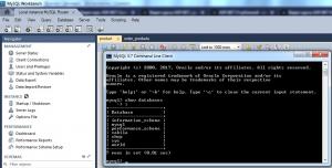 Отчёт от 18681 за Базовый ASP.ект / Установка сервера MySQL