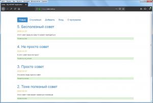 Отчёт от 18681 за Базовый ASP.ект / VIP. Установка домена
