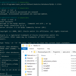 Отчёт от 18688 за SQL: ничего лишнего / Запуск mysql-консоли и создание базы данных
