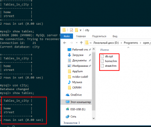 Отчёт от 18688 за SQL: ничего лишнего / План базы данных и создание таблиц