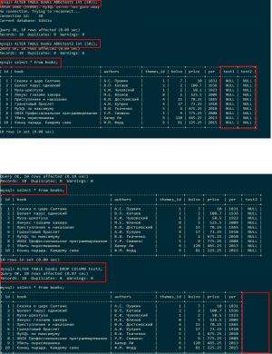 Отчёт от 18688 за SQL: ничего лишнего / Модификация таблицы