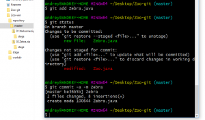Отчёт от 18783 за Система Git / git commit zebra