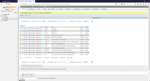 Отчёт от 18783 за Интернет-магазин / phpMyAdmin