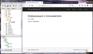 Отчёт от 18842 за Доска объявлений / MVC - информация о пользователе