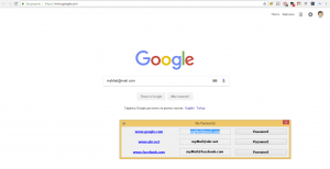 Отчёт от 19022 за Демо софт / Менеджер паролей