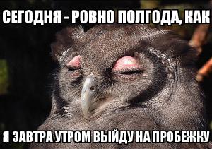 Отчёт от 1947 за Бинарная жизнь / Смысл жизни