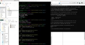 Отчёт от 19475 за Система Git / git ignore