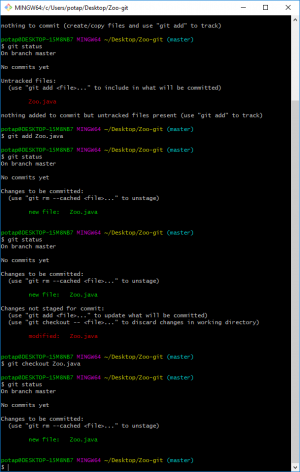 Отчёт от 1950 за Система Git / git add checkout