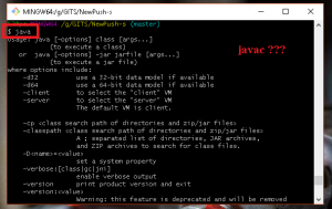 Отчёт от 20071 за Система Git / Добро пожаловать в Зоопарк!