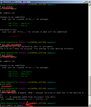 20071. New programist