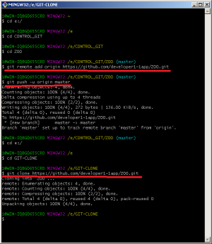 Отчёт от 20071 за Система Git / git push clone