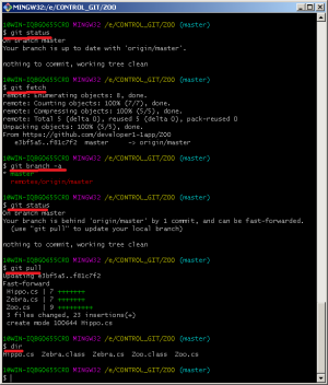 Отчёт от 20071 за Система Git / hippo git fetch pull