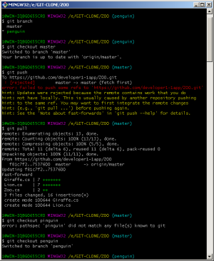 Отчёт от 20071 за Система Git / remote merge