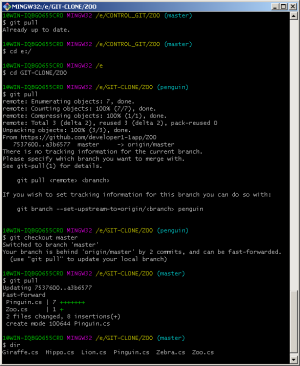 Отчёт от 20071 за Система Git / remote merge